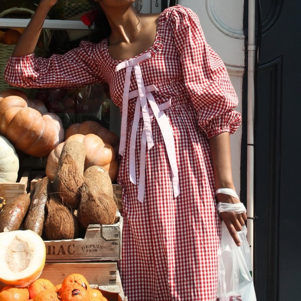 Damson Madder Dakota Red Gingham Pink Bow Picnic Dress Size 8 New! - Picture 8 of 8